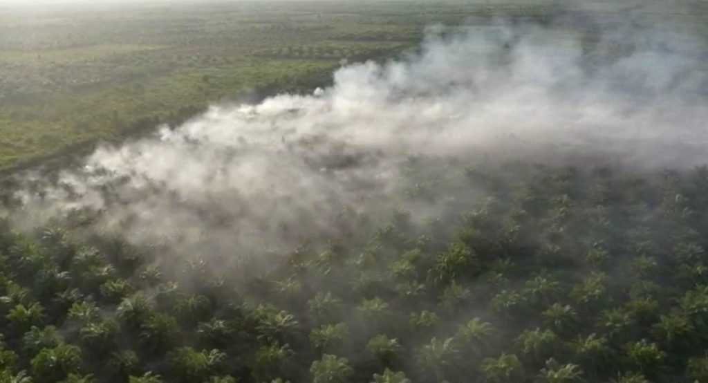 Karhutla Di Kabupaten Ketapang Hangsukan 1,7 Ha, Ada Unsur Sengaja