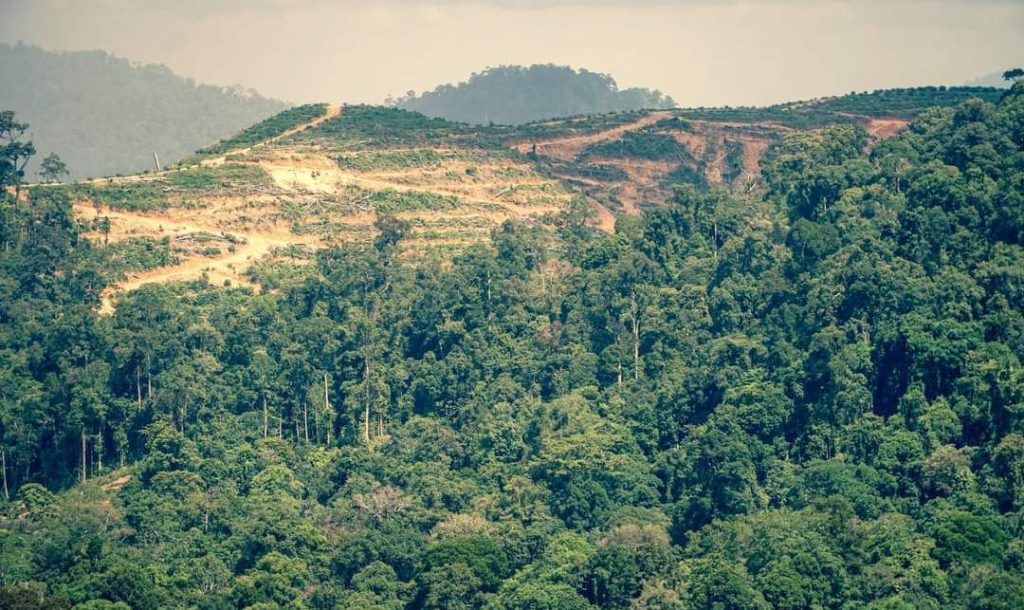 Bom Waktu Konflik Sawit di Tumbang Ramei