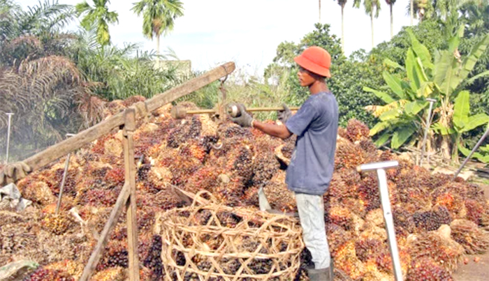 Manajemen TSB Mangkir, RDP Tak Ada Hasil