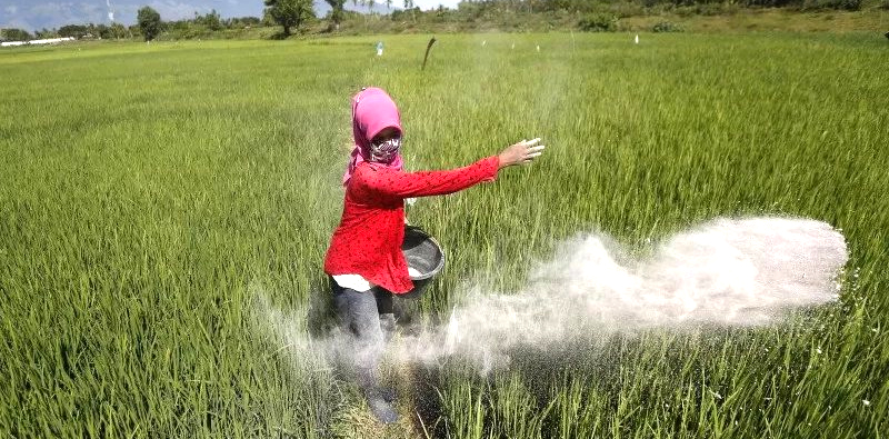 Ada Kebuntuan Program Yang Resahkan Petani