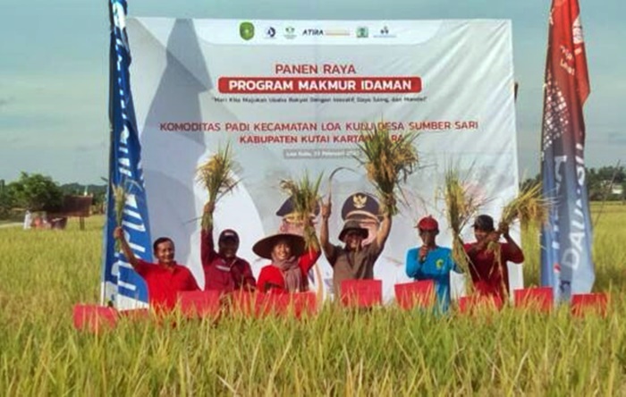 Ikut Panen Raya di Sumber Sari Samsun Janji Perjuangankan Pembangunan Irigasi