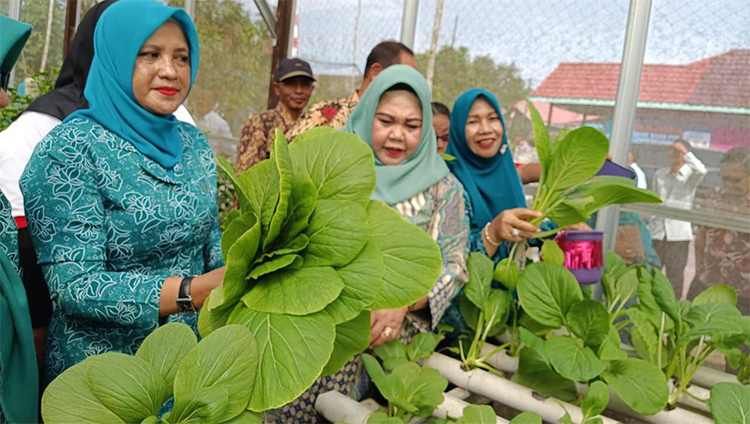 Posyandu Matahari Senipah Mandiri Kembangkan Usaha