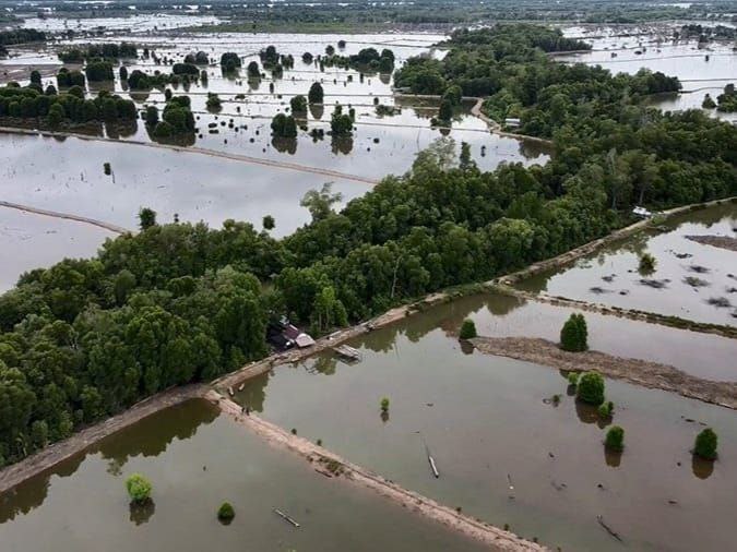 Manfaatkan Potensi, Desa Saliki Kembangkan Potensi Wisata Mangrove