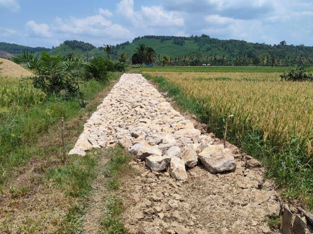 Program Desa Sumber Sari Fokus Pembangunan Infrastruktur Pertanian