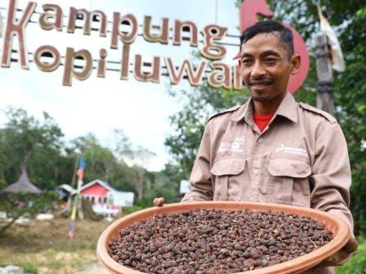 Pengembangan Budidaya Kopi Luwak Diapresiasi Pemdes Prangat Baru