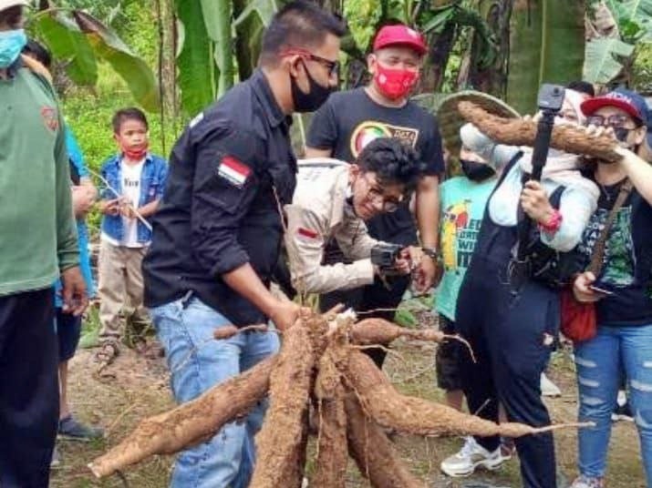 Kembangkan Sektor Pertanian, Desa Jembayan Tengah Ciptakan Varietas Singkong Baru ” Singkong Selingkuh”