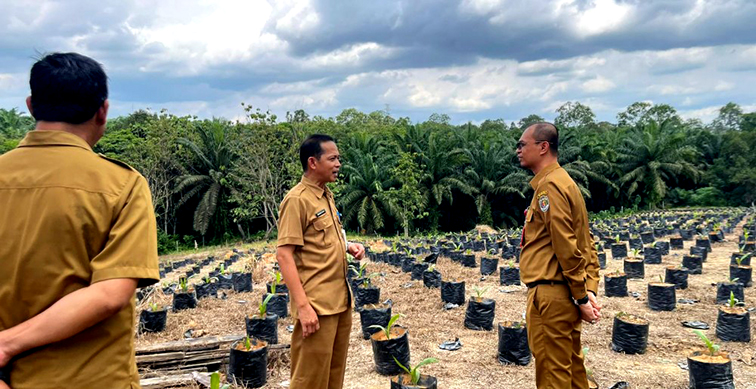 Upaya Meningkatkan Produktivitas Perkebunan, UPTD Disbun Siapkan Puluhan Ribu Benih Unggul