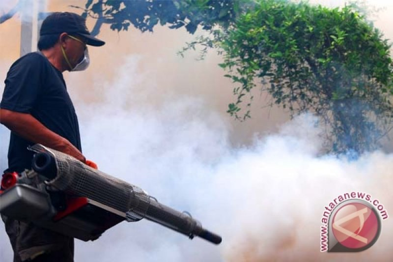 Tanggulangi Lonjakan Kasus DBD di Kapuas Hulu