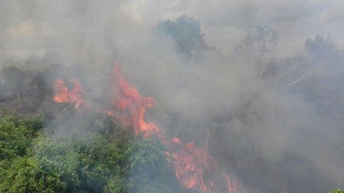 Agar Kebakaran Tak Meluas BPBD Kerahkan 10 Personel Selama 7 Hari Kedepan