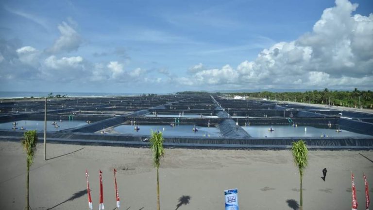 BPKP Kalteng Kawal Area Improvement Shrimp  Estate, 100 Persen Belum Selesai