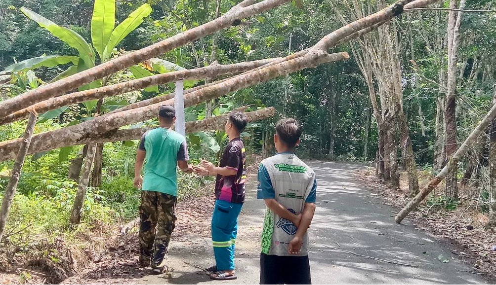 Warga dan Para Relawan Gotong Royong Tangani Pohon Tumbang di Mampari