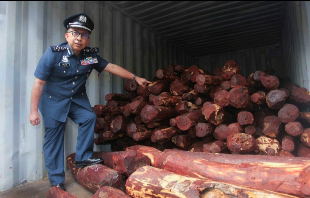 Sat Tipidter Nunukan Tindak Lanjut Kasus Penebangan Liar Kayu Merah di Desa Srinanti