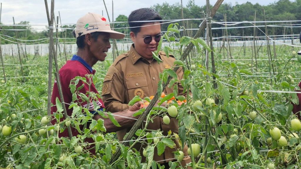 Edi-Rendi Fokus Bangun Infrastruktur Pertanian, serta Gelontorkan Anggaran Rp700 M