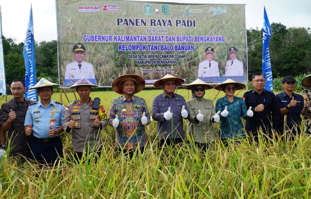 Gubernur Kalbar Aktifkan Sawah-sawah Agar Meningkatnya Produktifitas Panen Raya Padi