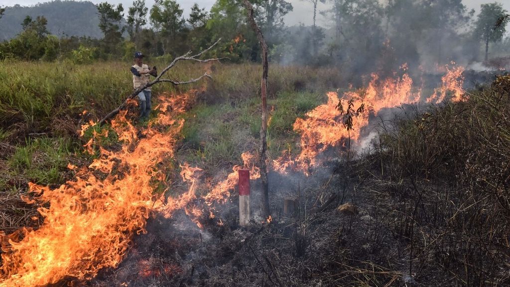 Darurat Lingkungan: Kebakaran Lahan di Natuna Merugikan Ribuan Jiwa