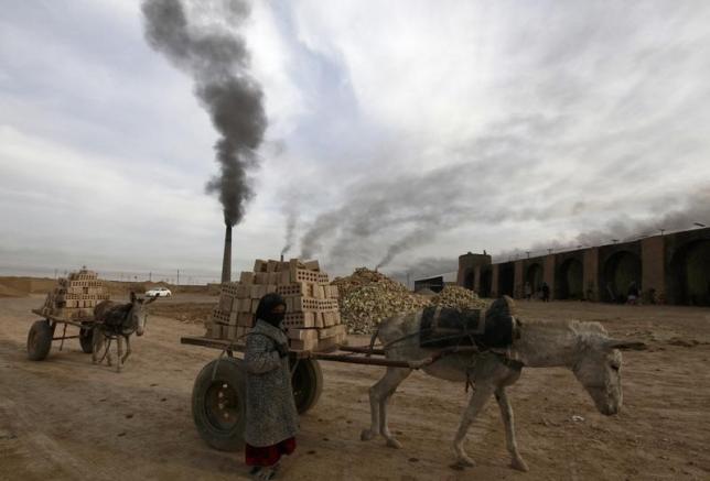 Irak Berjuang Lawan Fenomena Pekerja Anak Setelah Dekade Konflik