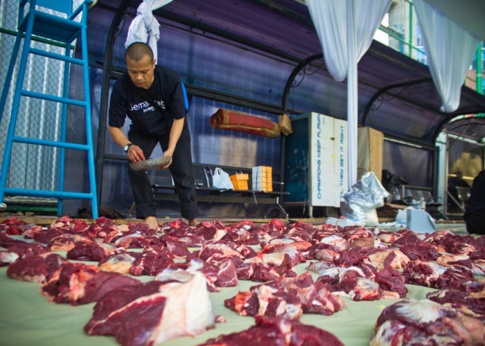 Pemberdayaan BRI Buat Peternak Kambing Ini Sukses dan Laris Manis