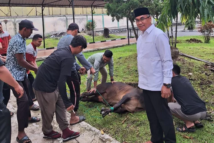 BKM Al Osmani Sembelih Lima Sapi dan Empat Kambing untuk Kurban