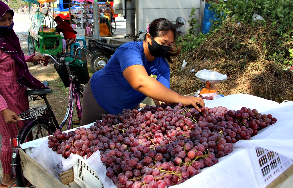 Anggur Capai Rp 60 Ribu Per Kilogram, Buah-buahan Favorit saat Idul Adha