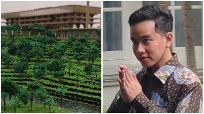 Gibran Enggan Menempati Rumah Dinas Wakil Presiden di IKN, Mengizinkan Digunakan oleh Warga