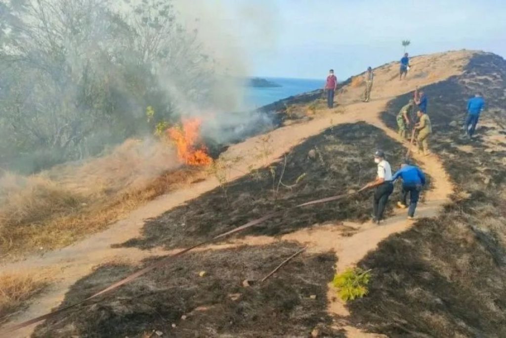 BMKG: Warga NTT Harus Waspada Terhadap Karhutla Karena Angin Kencang