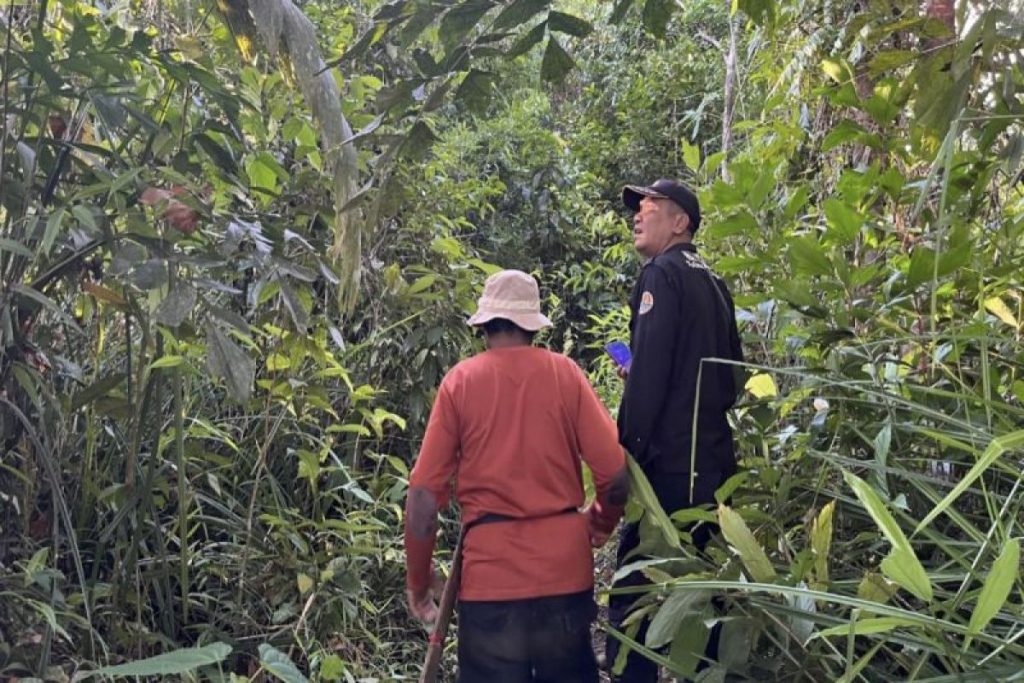 Kamera Trap di Pulau Hanibung Rekam Banyak Satwa, Kata BKSDA