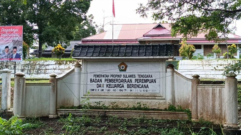 Hingga Juni 2024, Pemprov Catat 192 Kasus Kekerasan Perempuan dan Anak di Sultra