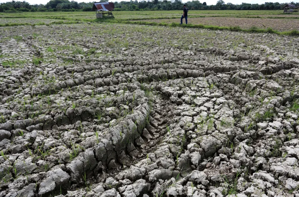 Kekeringan di Jawa Tengah Ancam 208 Desa