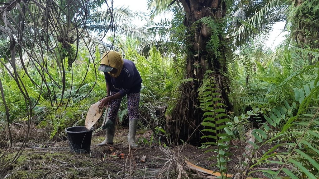 Buruh Sawit di Kukar Setubuhi Anak Kandung dan Ponakan