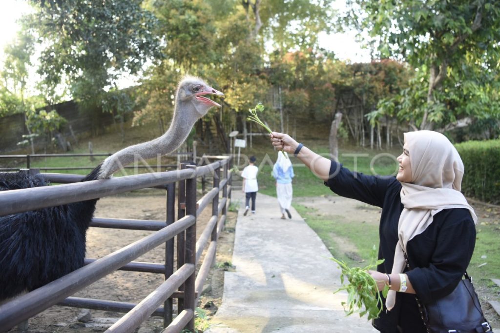 Temukan Kebun Binatang Mini di Samarinda