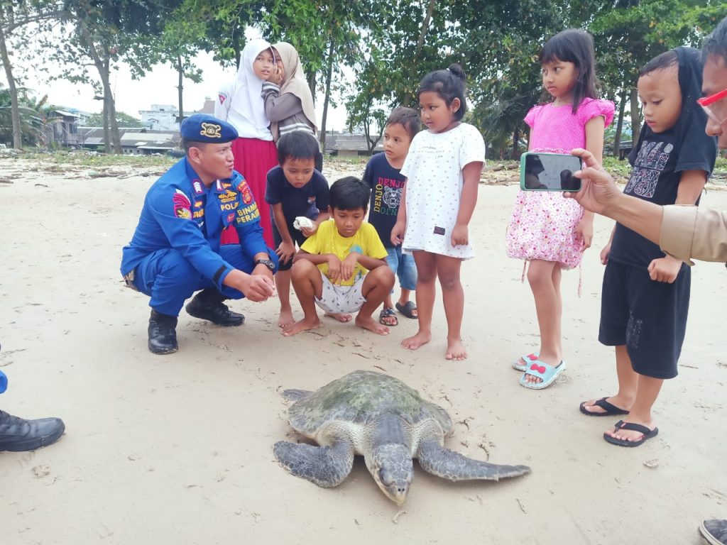 Personil Ditpolairud Polda Kaltim Bersama Dinas Perikanan Balikpapan Lepaskan Penyu Lekang ke Habitat Asli