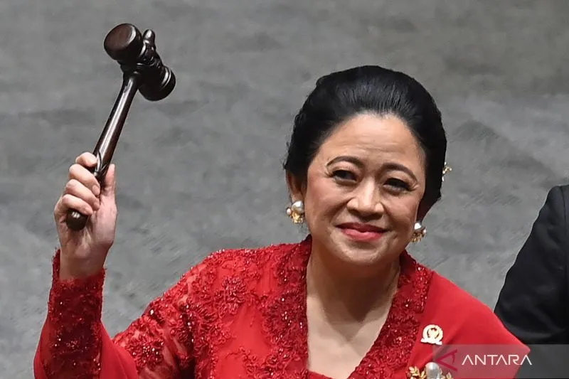 Profil Puan Maharani, Kembali Terpilih sebagai Ketua DPR RI 2024-2029