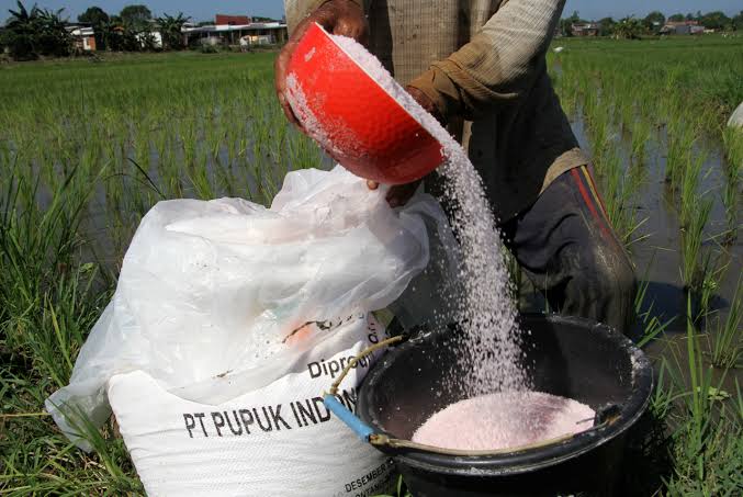 DPRD Kabupaten Penajam Himbau Petani Beralih ke Penggunaan Pupuk Organik