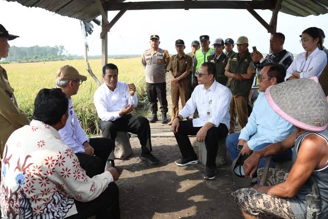 Libatkan Petani Muda, Mentan Optimistis Swasembada Pangan Tercapai dalam 3 Tahun