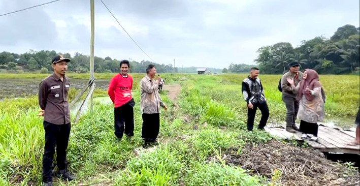 Pemdes Rapak Lambur Lakukan Normalisasi Sistem Irigasi Lahan Pertanian