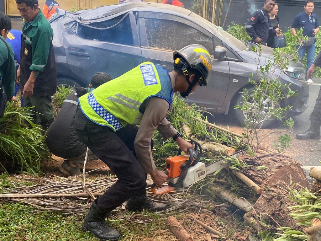 Respon Cepat, Tim Pammat Ditsamapta Polda Kaltim Evakuasi Pohon Tumbang di Kawasan Balikpapan Bar