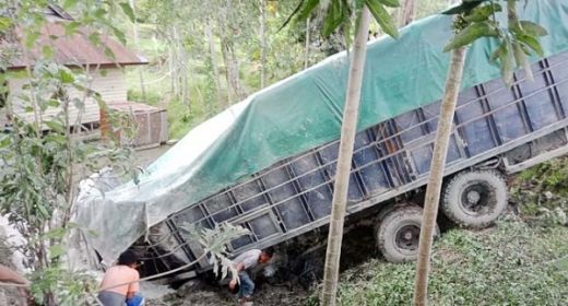 Insiden Tragis, Truk Semen Terperosok ke Jurang Akibat Rem Blong di Solok