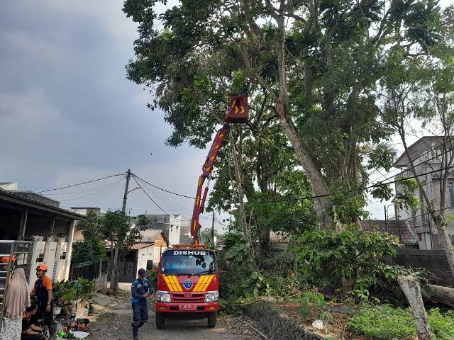 Dishub dan BPBD Cepat Tanggap Pangkas Pohon Rawan Tumbang di Kota Sukabumi