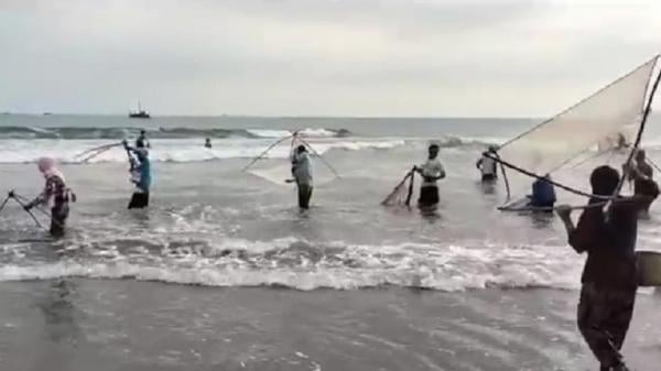 Musim Impun, Warga Padati Muara Cimaja