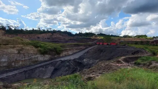 Tambang Ilegal Hancurkan Hutan Unmul, Pelaku Belum Terungkap