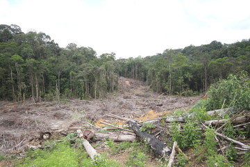 Industri Kuasai 68% Lahan Kalteng