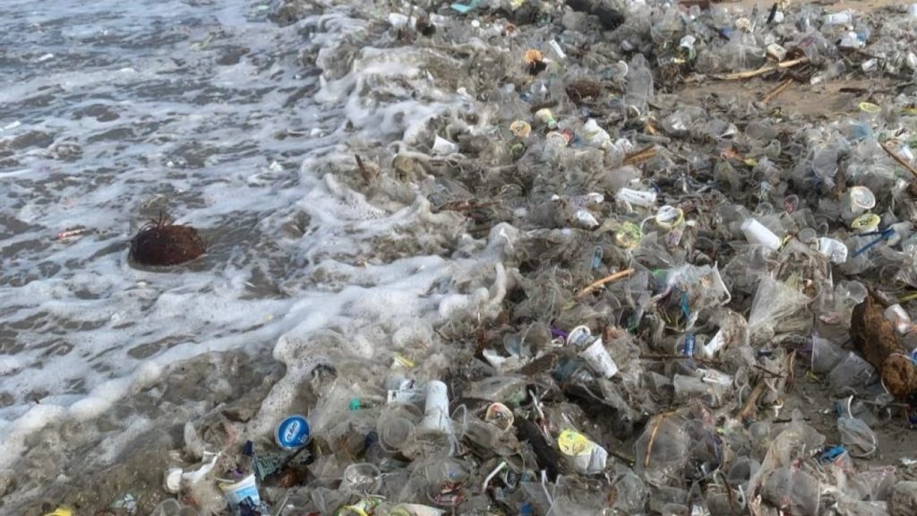 Edaran Bersih Sampah Bali Dikritik, Minim Dampak Nyata