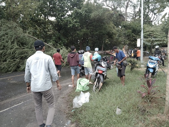 Warga Sleman Tewas Tertimpa Pohon