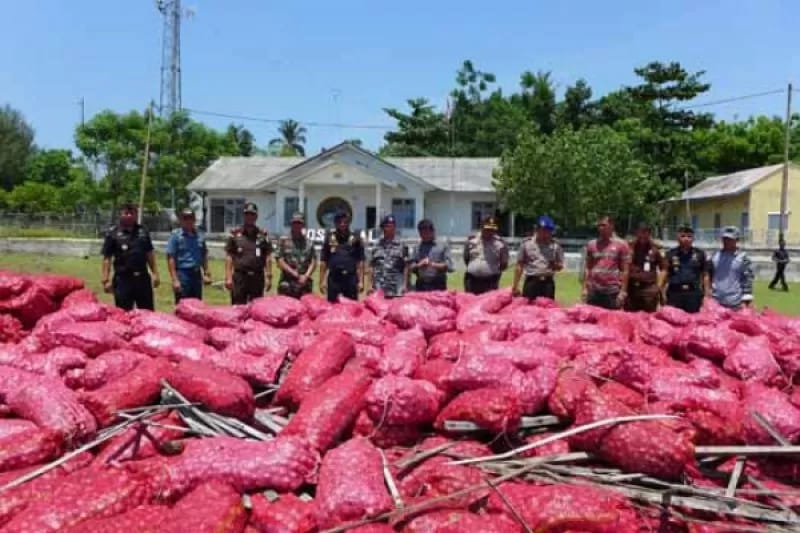 Penyelundupan Bawang Malaysia Digagalkan di Riau