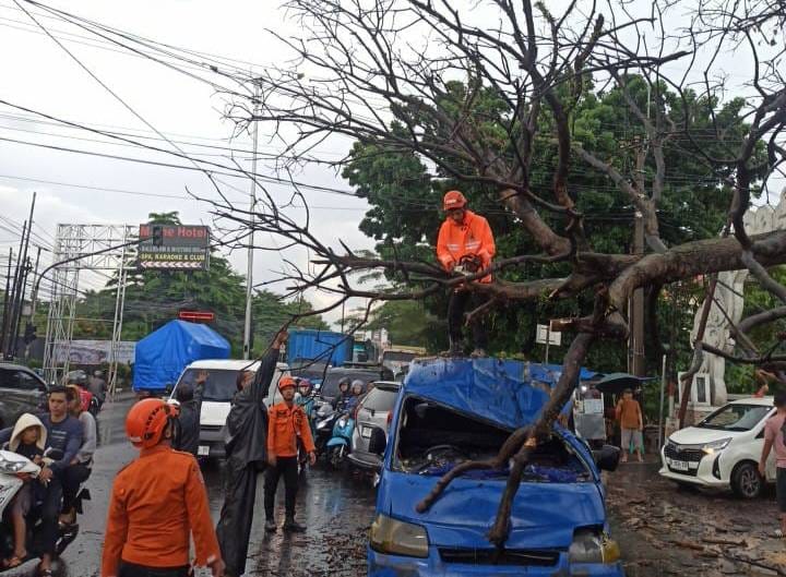 Pohon Tumbang di Cibinong, 3 Orang Terluka