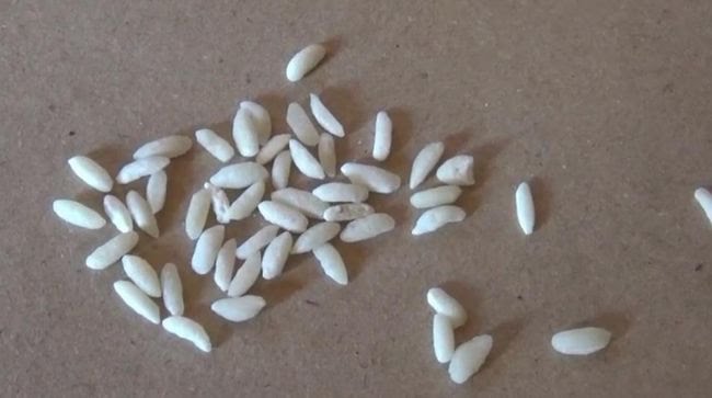 Polda Jambi Tegaskan Beras Viral Bukan Plastik