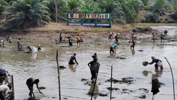 Panen Ikan Massal di Desa Lunjuk Sambut Idul Adha