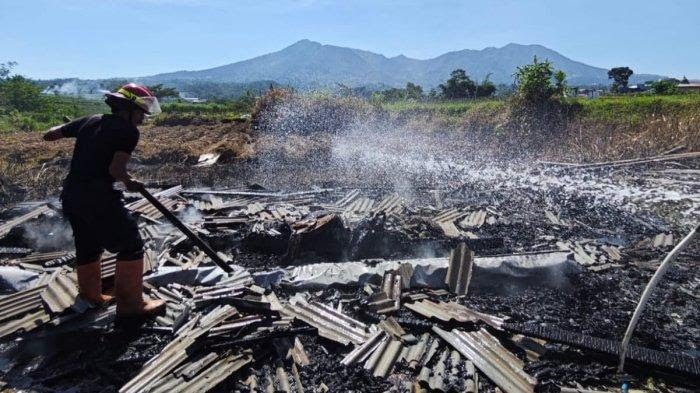 Kandang Terbakar, 9 Kambing Ludes
