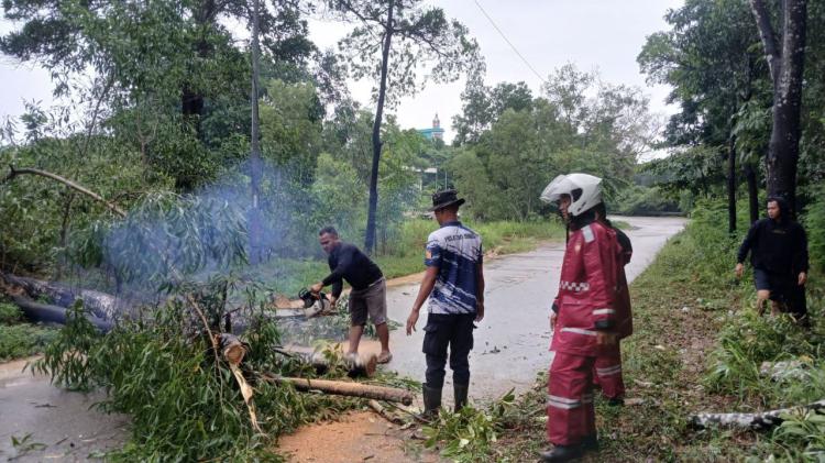 Polisi Kampar Evakuasi Pohon Tumbang, Jalan Kembali Lancar