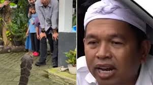 Dedi Mulyadi Peringatkan Pengirim Ular Kobra: “Nanti Ketangkep”